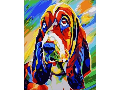 OBRAZ MALOWANIE PO NUMERACH RAMA 40x50cm BASSET HOUND - PIES W KOLORZE