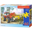 CASTORLAND Puzzle 60el. Forest Site