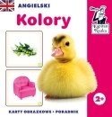 Gra Edukacyjna "Angielski kolory"