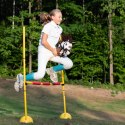 Hobby Horse Skippi - koń na kiju - Gniado-srokaty A5