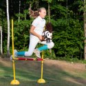 Hobby Horse Skippi - koń na kiju - Gniado-srokaty A5